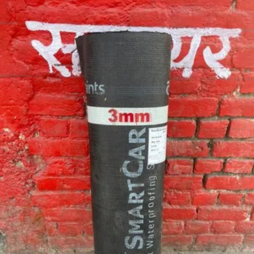 APP Membrane